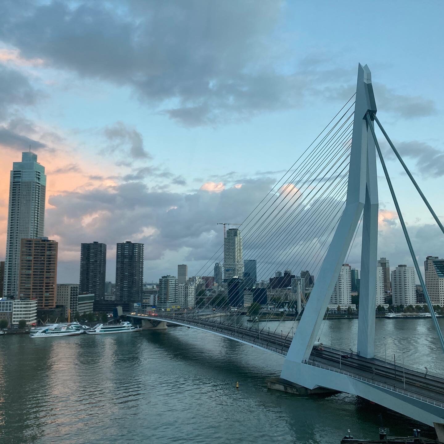 Erasmusbrücke Rotterdam